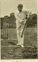 Picture 119 of 290 from The encyclopaedia of sport (1897), leaf 254