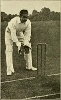 Picture 124 of 290 from The encyclopaedia of sport (1897), leaf 266