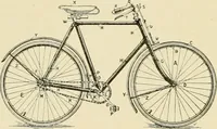 Picture 135 of 290 from The encyclopaedia of sport (1897), leaf 304