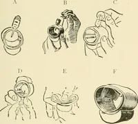 Picture 151 of 290 from The encyclopaedia of sport (1897), leaf 317