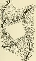 Picture 153 of 290 from The encyclopaedia of sport (1897), leaf 329