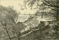 Picture 155 of 290 from The encyclopaedia of sport (1897), leaf 330