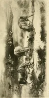 Picture 158 of 290 from The encyclopaedia of sport (1897), leaf 337