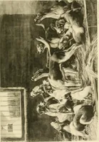 Picture 160 of 290 from The encyclopaedia of sport (1897), leaf 345