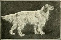 Picture 168 of 290 from The encyclopaedia of sport (1897), leaf 355