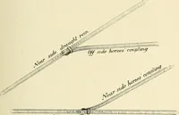 Picture 174 of 290 from The encyclopaedia of sport (1897), leaf 369
