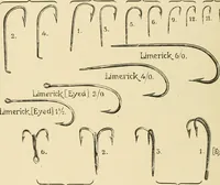 Picture 12 of 290 from The encyclopaedia of sport (1897), leaf 38