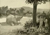 Picture 181 of 290 from The encyclopaedia of sport (1897), leaf 386