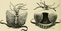 Picture 190 of 290 from The encyclopaedia of sport (1897), leaf 406