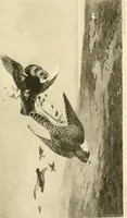Picture 191 of 290 from The encyclopaedia of sport (1897), leaf 407