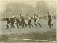 Picture 201 of 290 from The encyclopaedia of sport (1897), leaf 447