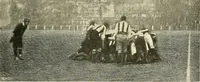 Picture 202 of 290 from The encyclopaedia of sport (1897), leaf 449