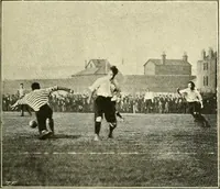 Picture 206 of 290 from The encyclopaedia of sport (1897), leaf 459