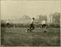 Picture 208 of 290 from The encyclopaedia of sport (1897), leaf 462