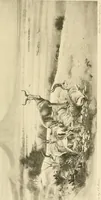 Picture 213 of 290 from The encyclopaedia of sport (1897), leaf 493