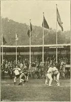 Picture 234 of 290 from The encyclopaedia of sport (1897), leaf 527