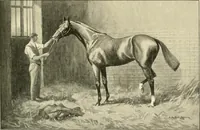 Picture 259 of 290 from The encyclopaedia of sport (1897), leaf 581