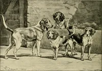 Picture 264 of 290 from The encyclopaedia of sport (1897), leaf 608