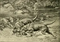 Picture 266 of 290 from The encyclopaedia of sport (1897), leaf 616