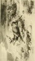 Picture 268 of 290 from The encyclopaedia of sport (1897), leaf 621