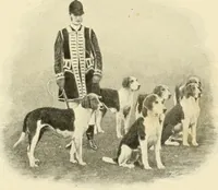 Picture 271 of 290 from The encyclopaedia of sport (1897), leaf 627