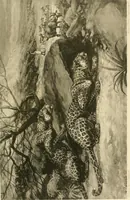 Picture 290 of 290 from The encyclopaedia of sport (1897), leaf 677