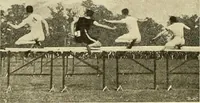 Picture 38 of 290 from The encyclopaedia of sport (1897), leaf 72