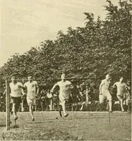 Picture 40 of 290 from The encyclopaedia of sport (1897), leaf 75