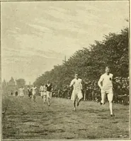 Picture 41 of 290 from The encyclopaedia of sport (1897), leaf 77