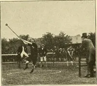 Picture 43 of 290 from The encyclopaedia of sport (1897), leaf 79