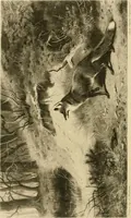 Picture 1 of 290 from The encyclopaedia of sport (1897), leaf 8