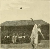 Picture 45 of 290 from The encyclopaedia of sport (1897), leaf 81