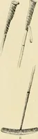 An illustration from The encyclopaedia of sport (1897)