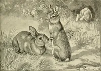 An illustration from The encyclopaedia of sport (1897)
