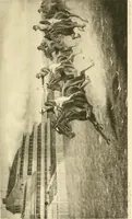 An illustration from The encyclopaedia of sport (1897)