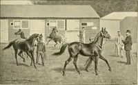 An illustration from The encyclopaedia of sport (1897)