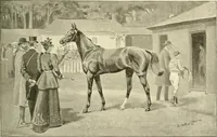 An illustration from The encyclopaedia of sport (1897)