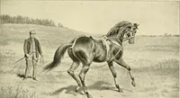 An illustration from The encyclopaedia of sport (1897)
