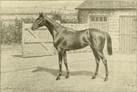 An illustration from The encyclopaedia of sport (1897)