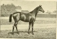An illustration from The encyclopaedia of sport (1897)