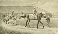 An illustration from The encyclopaedia of sport (1897)