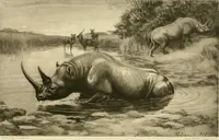 An illustration from The encyclopaedia of sport (1897)