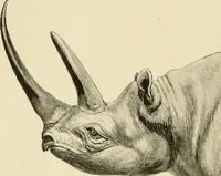 An illustration from The encyclopaedia of sport (1897)