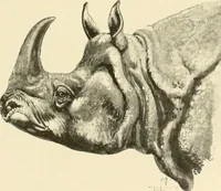 An illustration from The encyclopaedia of sport (1897)