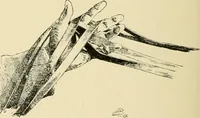 An illustration from The encyclopaedia of sport (1897)