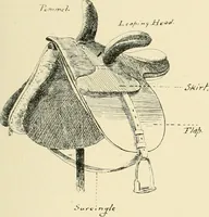 An illustration from The encyclopaedia of sport (1897)