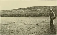 An illustration from The encyclopaedia of sport (1897)