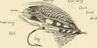 An illustration from The encyclopaedia of sport (1897)