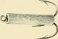 An illustration from The encyclopaedia of sport (1897)