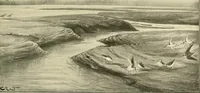 An illustration from The encyclopaedia of sport (1897)